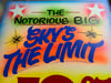 Sky's the Limit - 24" x 30 Canvas
