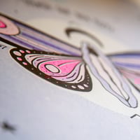 Image 2 of Lámina "Marivulva"