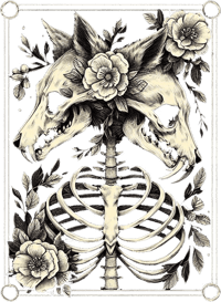 Image 3 of Two Headed Big cat jumper