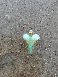 Image 1 of Cfl reactive yoshi shark tooth pendant.