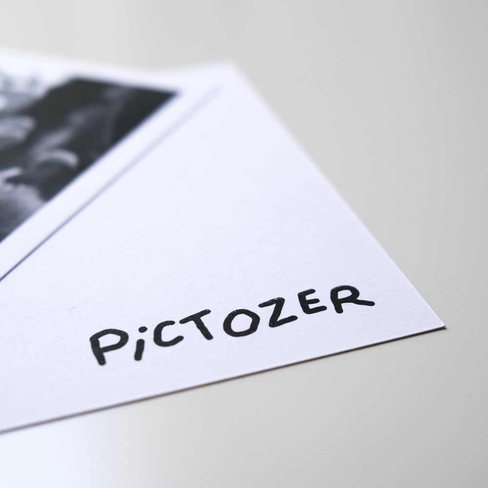 Image of Impression "Pigeons"
