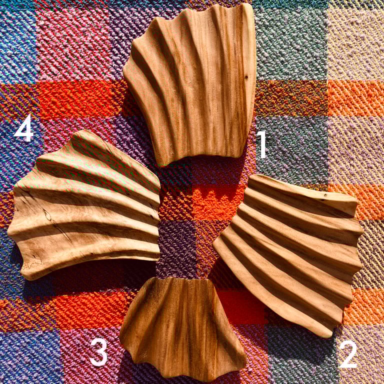 Wood Shell Fragments
