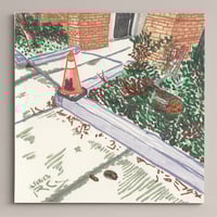 Image 1 of Soho and Phoebe