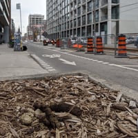 Image 2 of Spadina and Adelaide