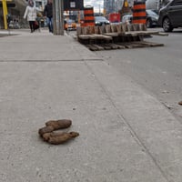 Image 2 of C is for Construction x Bathurst and Niagara