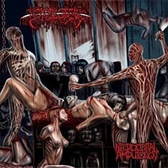 Image of BOWEL STEW - Necrocoital Amputorgy CD