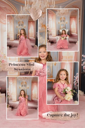 Image of Princess Room Mini-Session