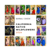 2024 California Wildflowers Calendar (8.5x17)