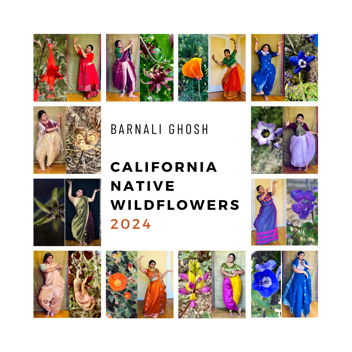 2024 California Wildflowers Calendar (8.5x17) Barnali Ghosh Art