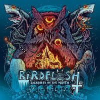 Image of Birdflesh "Sickness In The North" LP