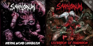 Image of SANATORIUM - Celebration Of Exhumation/Internal Womb Cannibalism 2CD