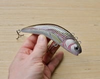 Image 1 of Sf baits cup head lipless crankbait ( color: red side dace)