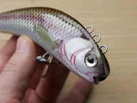 Image 3 of Sf baits cup head lipless crankbait ( color: red side dace)