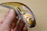 Image 3 of Sf baits cup head lipless crankbait ( color: smoked shiner)