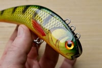 Image 4 of Sf baits cup head lipless crankbait ( color: perch)