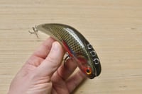 Image 2 of Sf baits cup head lipless crankbait ( color: red cheek smoked herring)