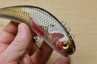 Image 4 of Sf baits cup head lipless crankbait ( color: red cheek smoked herring)