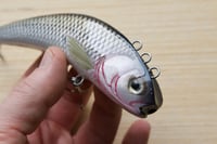 Image 3 of Sf baits cup head lipless crankbait ( color: common silver fish)