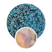 Image 1 of X Con pressed multichrome 