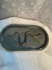 Image 2 of Raised Snake Tray