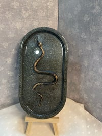 Image 3 of Raised Snake Tray