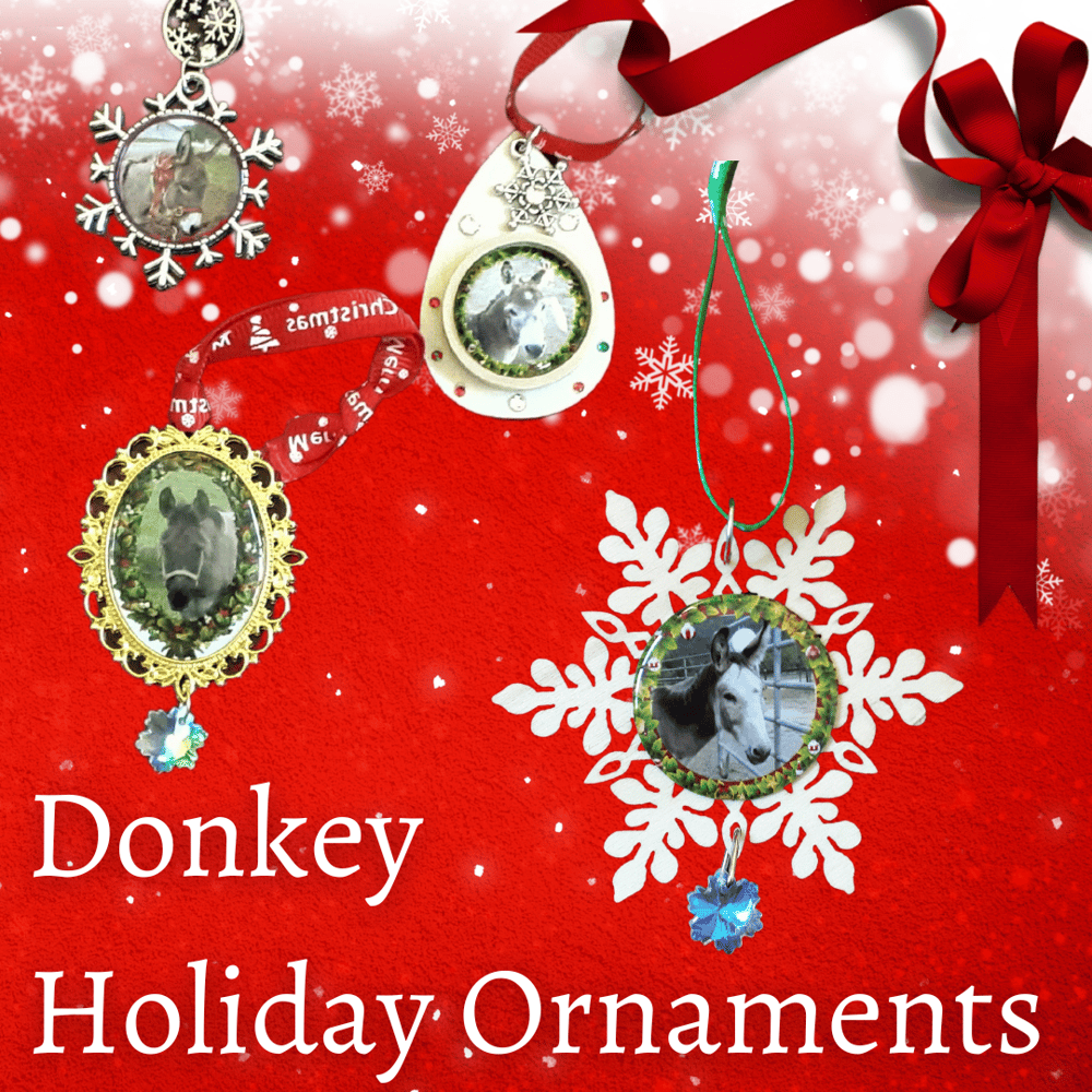 Image of Clearance - Donkey Holiday Ornaments!
