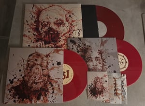 Image of Shining "Long Live The Enemy" VINYL BOX