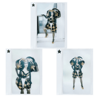 Image 3 of Sisi superstar promo look signed polaroids