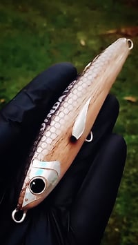 Image 1 of Lalandi Semi Nude Stickbait 135Smm 45g (Pre-order)