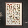 Mushrooms | Adolphe Millot | Retro Botanical Print | Vintage Poster | Wall art Print