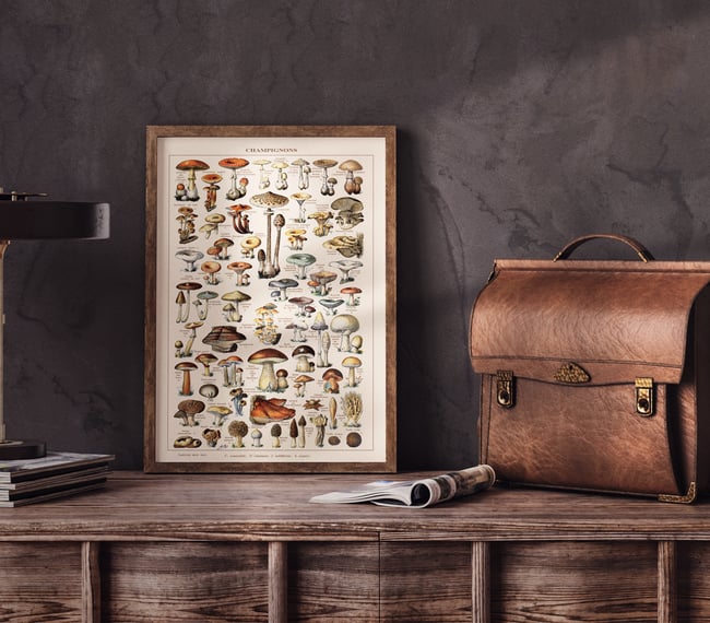 Mushrooms | Adolphe Millot | Retro Botanical Print | Vintage Poster | Wall art Print