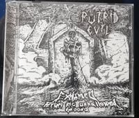 Image 2 of Putrid Evil - Exhumed​​​.​​​.​​​. From The Unhallowed Ground Cd 
