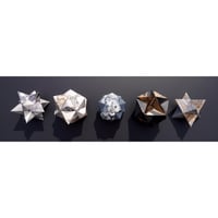 Image 1 of Polyhedral Variations (After Jamnitzer)