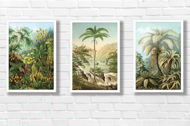 Set of 3 Prints with Palm trees | Retro Tropical Print | Palm tree Poster | Forest Landscape poster