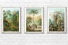 Set of 3 Prints with Palm trees | Retro Tropical Print | Palm tree Poster | Forest Landscape poster