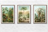 Set of 3 Prints with Palm trees | Retro Tropical Print | Palm tree Poster | Forest Landscape poster