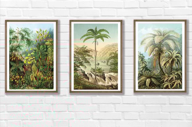 Set of 3 Prints with Palm trees | Retro Tropical Print | Palm tree Poster | Forest Landscape poster