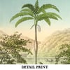 Set of 3 Prints with Palm trees | Retro Tropical Print | Palm tree Poster | Forest Landscape poster