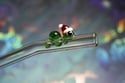 Christmas Glass Straw Set: Santa Hat Turtle and String of Lights