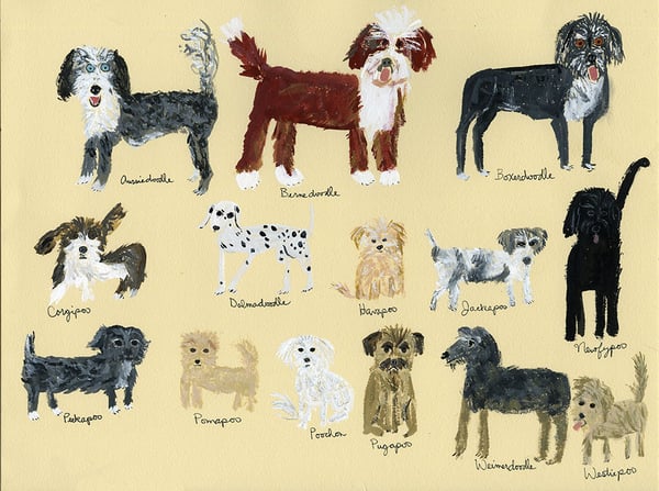 Image of Another Incomplete Guide To Doodle Dogs. limited edition print