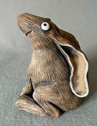 Image 2 of GEORGE, THE DEVONSHIRE HARE
