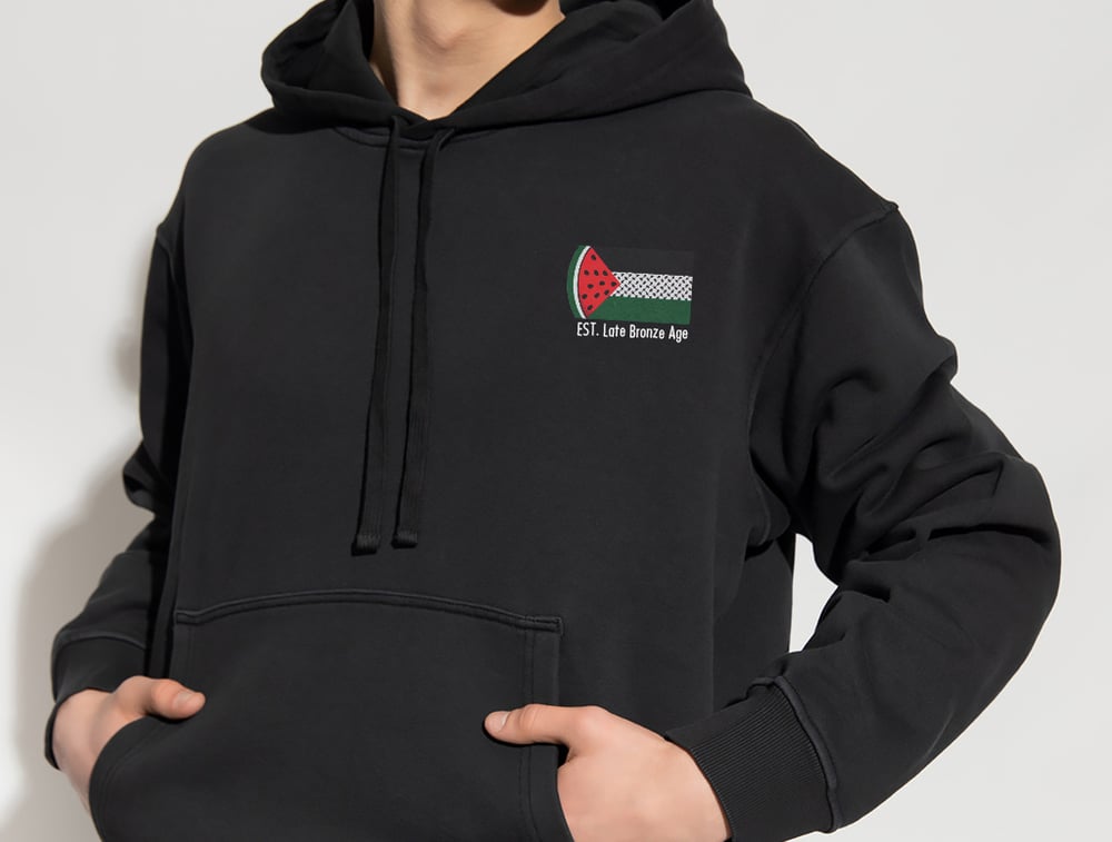Image of Unisex Palestine flag hoodie