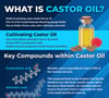 Organic Castor Oil 500ml