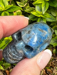 Lapis Lazuli Elongated Skull