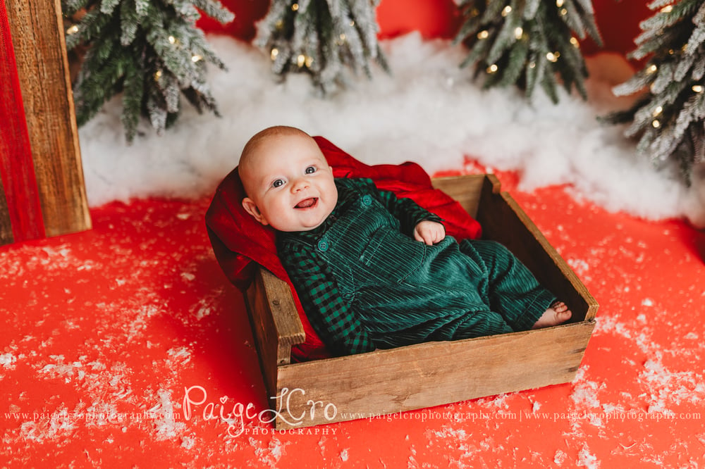 Image of Christmas Mini Sessions [Day 2]