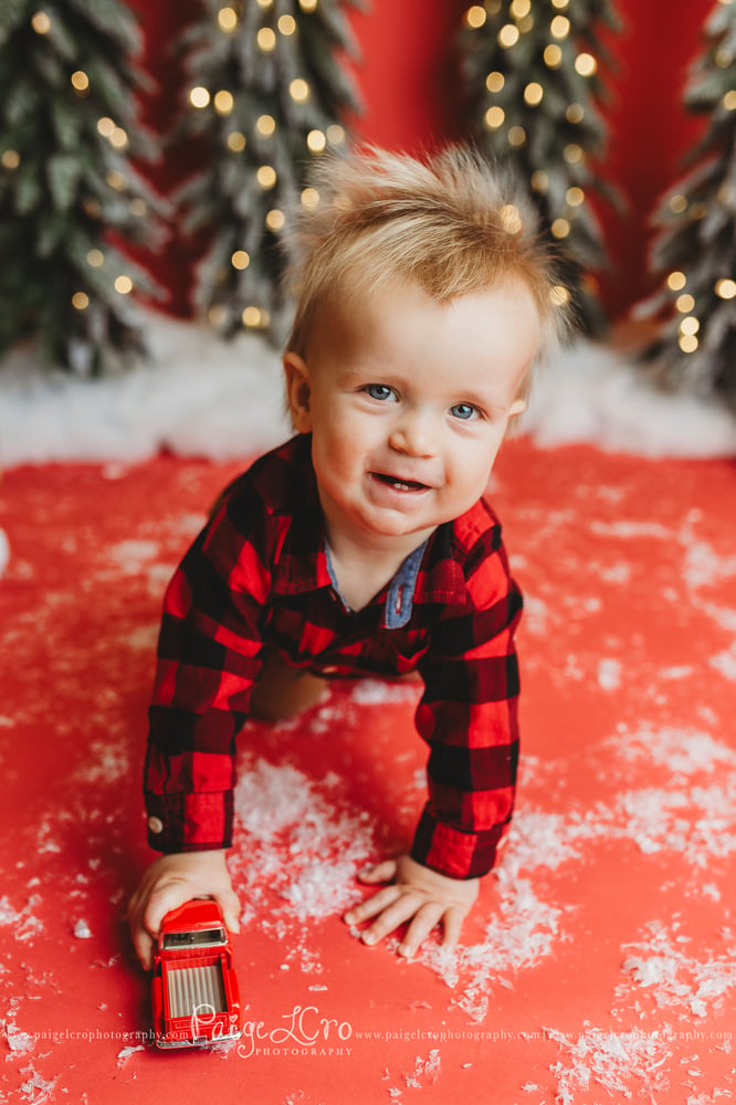 Image of Christmas Mini Sessions [Day 2]