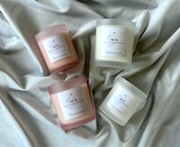 *Pre-Order Now* Fresh