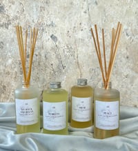 *Pre-Order Now* All Scented Reed Diffuser Collection