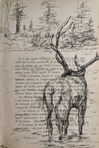 Image 1 of Antique Book Project - Creatures