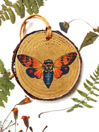 Image 1 of Cicada Christmas Ornament 